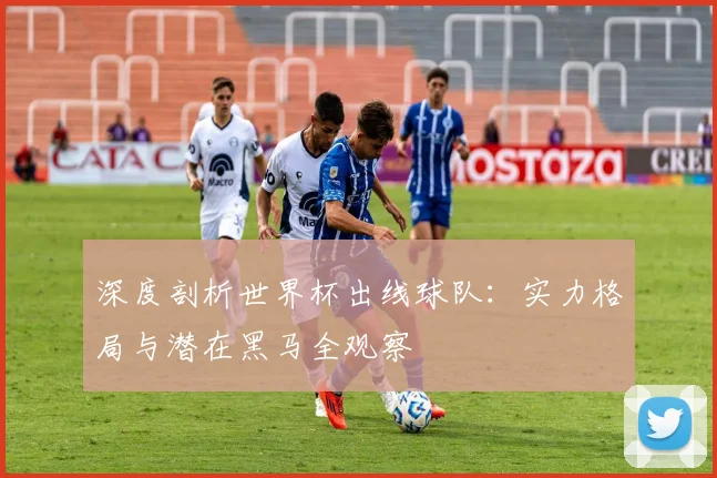 深度剖析世界杯出线球队：实力格局与潜在黑马全观察