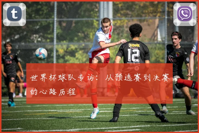 世界杯球队专访:从预选赛到决赛的心路历程