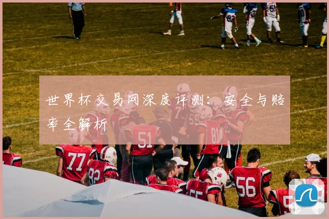 世界杯交易网深度评测:安全与赔率全解析