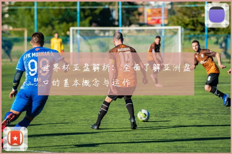 世界杯亚盘解析:全面了解亚洲盘口的基本概念与运作