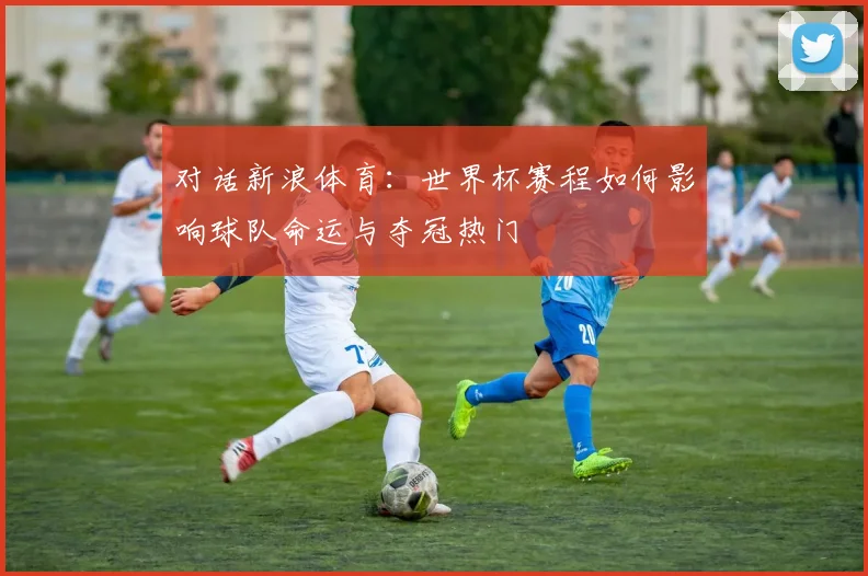 对话新浪体育：世界杯赛程如何影响球队命运与夺冠热门