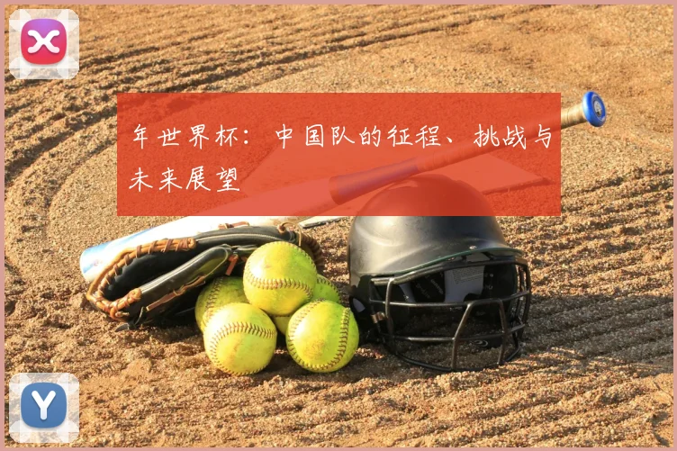 年世界杯:中国队的征程、挑战与未来展望
