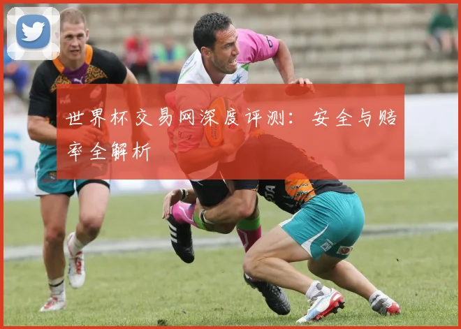 世界杯交易网深度评测:安全与赔率全解析