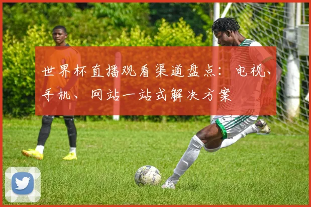 世界杯直播观看渠道盘点：电视、手机、网站一站式解决方案