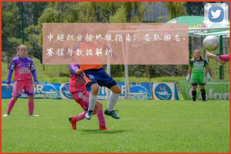 中超积分榜终极指南:各队排名、赛程与数据解析